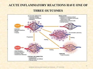 ACUTE INFLAMMATORY REACTIONS HAVE ONE OF
THREE OUTCOMES
• Complete resolution
• Healing by connective tissue replacement (scarring, or
fibrosis)
• Progression of the response to chronic inflammation
41
ROBBINS PATHOLOGIC BASICS OF DISEASE – 9TH EDITION
 