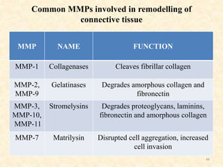 Common MMPs involved in remodelling of
connective tissue
MMP NAME FUNCTION
MMP-1 Collagenases Cleaves fibrillar collagen
MMP-2,
MMP-9
Gelatinases Degrades amorphous collagen and
fibronectin
MMP-3,
MMP-10,
MMP-11
Stromelysins Degrades proteoglycans, laminins,
fibronectin and amorphous collagen
MMP-7 Matrilysin Disrupted cell aggregation, increased
cell invasion
48
 