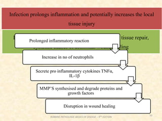 50
Infection prolongs inflammation and potentially increases the local
tissue injury
Diabetes is a metabolic disease that compromises tissue repair,
systemic causes of abnormal wound healing
ROBBINS PATHOLOGIC BASICS OF DISEASE – 9TH EDITION
Prolonged inflammatory reaction
Increase in no of neutrophils
Secrete pro inflammatory cytokines TNFα,
IL-1β
Disruption in wound healing
MMP’S synthesised and degrade proteins and
growth factors
 