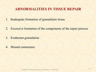 ABNORMALITIES IN TISSUE REPAIR
1. Inadequate formation of granulation tissue
2. Excessive formation of the components of the repair process
3. Exuberant granulation
4. Wound contracture
54
ROBBINS PATHOLOGIC BASICS OF DISEASE – 9TH EDITION
 