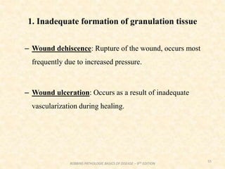 1. Inadequate formation of granulation tissue
– Wound dehiscence: Rupture of the wound, occurs most
frequently due to increased pressure.
– Wound ulceration: Occurs as a result of inadequate
vascularization during healing.
55
ROBBINS PATHOLOGIC BASICS OF DISEASE – 9TH EDITION
 