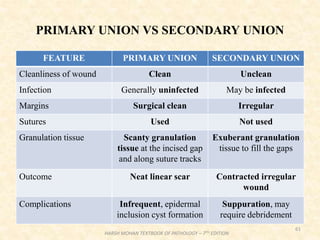 PRIMARY UNION VS SECONDARY UNION
FEATURE PRIMARY UNION SECONDARY UNION
Cleanliness of wound Clean Unclean
Infection Generally uninfected May be infected
Margins Surgical clean Irregular
Sutures Used Not used
Granulation tissue Scanty granulation
tissue at the incised gap
and along suture tracks
Exuberant granulation
tissue to fill the gaps
Outcome Neat linear scar Contracted irregular
wound
Complications Infrequent, epidermal
inclusion cyst formation
Suppuration, may
require debridement
61
HARSH MOHAN TEXTBOOK OF PATHOLOGY – 7TH EDITION
 