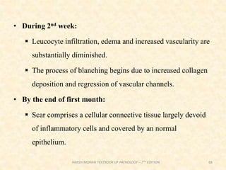 • During 2nd week:
 Leucocyte infiltration, edema and increased vascularity are
substantially diminished.
 The process of blanching begins due to increased collagen
deposition and regression of vascular channels.
• By the end of first month:
 Scar comprises a cellular connective tissue largely devoid
of inflammatory cells and covered by an normal
epithelium.
68
HARSH MOHAN TEXTBOOK OF PATHOLOGY – 7TH EDITION
 