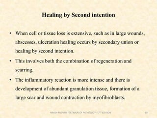 Healing by Second intention
• When cell or tissue loss is extensive, such as in large wounds,
abscesses, ulceration healing occurs by secondary union or
healing by second intention.
• This involves both the combination of regeneration and
scarring.
• The inflammatory reaction is more intense and there is
development of abundant granulation tissue, formation of a
large scar and wound contraction by myofibroblasts.
69
HARSH MOHAN TEXTBOOK OF PATHOLOGY – 7TH EDITION
 