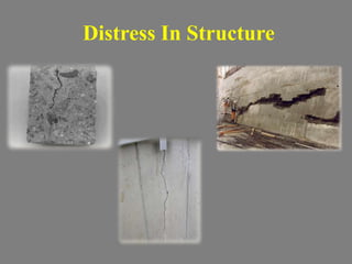 Instructural Disability Repair and Rehabilitation | PPTX