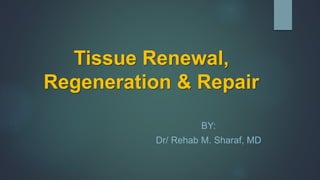Tissue Renewal,
Regeneration & Repair
BY:
Dr/ Rehab M. Sharaf, MD
 