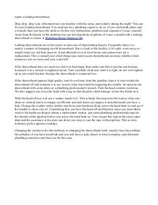 Repairing a Leaking Showerhead