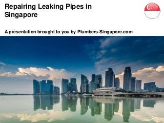 Repairing Leaking Pipes in
Singapore
A presentation brought to you by Plumbers-Singapore.com
1
 