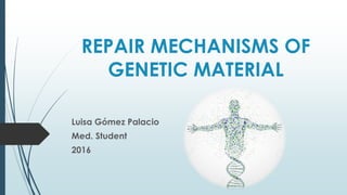 REPAIR MECHANISMS OF
GENETIC MATERIAL
Luisa Gómez Palacio
Med. Student
2016
 