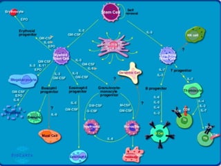 Repair and regeneration of tissues using stem cells | PPTX