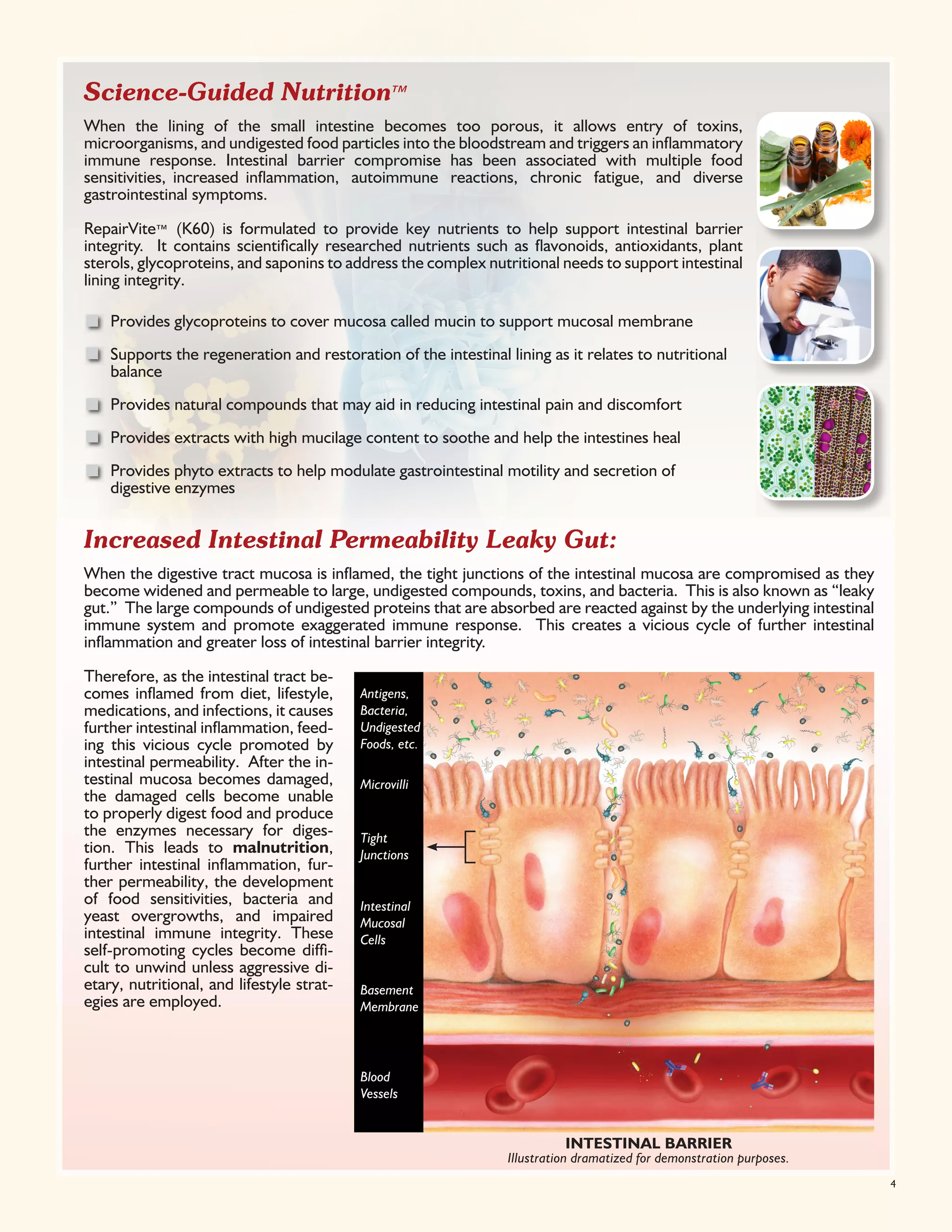 Repairvite | PDF