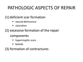 Repair & Wound Healing 2024 SAHARA MEDICAL COLLEGE NAROWAL, PUNJAB ...
