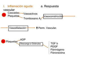 I. Inflamación aguda:                 a. Respuesta
vascular
    Cascadas       Vasoactivos
+   Plaquetas                          Vasoconstricción
                   Tromboxano A2


     Vasodilatación              Perm. Vascular.



                ADP
+ Plaquetas
                Descarga a Gránulos         TGF b
                                            PDGF
                                            Fibrinógeno
                                            Fibronectina
 