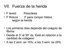 VII. Fuerza de la herida
• F tensil:    Peso/área
• F Rotura     :F para romper Hebra.
      según la herida

• Los primeros días depende del coágulo de
  fibrina
• Desde el 3o al 30o ds. Está en relación a la
  cantidad de colágeno
• A las 2 sem. es 10%; a las 3 sem. es 25%
 