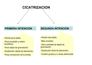 CICATRIZACION




PRIMERA INTENCION                   SEGUNDA INTENCION


-Pierde poco tejido.                -Pierde mas tejido.

-Poco exudado y restos              -Mas exudado
nacróticos.                         -Gran cantidad de tejido de
-Poco tejido de granulación.        granulación.

-Sustitución rápida de elementos.   -Sustitución lenta de elementos.

-Poca contracción de la herida.     -Cicatriz gruesa y a veces deformada
 
