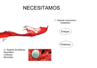 NECESITAMOS

                            1.- Soporte nutricional y
                                  metabólico



                                   Energía




                                   Proteínas

2.- Sistema de defensa
Neutrófilos
Linfocitos
Monocitos
 