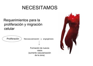 NECESITAMOS

Requerimientos para la
proliferación y migración
celular

  Proliferación   Neovascularización y angiogénesis




                         Formación de nuevos
                               vasos
                       (aumento vascularización
                             de la zona)
 