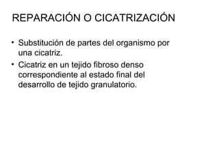 REPARACIÓN O CICATRIZACIÓN

• Substitución de partes del organismo por
  una cicatriz.
• Cicatriz en un tejido fibroso denso
  correspondiente al estado final del
  desarrollo de tejido granulatorio.
 
