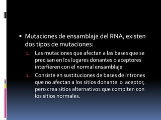  Mutaciones de ensamblaje del RNA, existen
dos tipos de mutaciones:
1. Las mutaciones que afectan a las bases que se
precisan en los lugares donantes o aceptores
interfieren con el normal ensamblaje
2. Consiste en sustituciones de bases de intrones
que no afectan a los sitios donante o aceptor,
pero crea sitios alternativos que compiten con
los sitios normales.
 