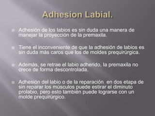 Adhesion Labial.Adhesión de los labios es sin duda una manera de manejar la proyección de la premaxila. Tiene el inconveniente de que la adhesión de labios es sin duda más caros que los de moldes prequirúrgica. Además, se retrae el labio adherido, la premaxila no crece de forma descontrolada. Adhesión del labio o de la reparación  en dos etapa de sin reparar los músculos puede estirar el diminuto prolabio, pero esto también puede lograrse con un molde prequirúrgico.