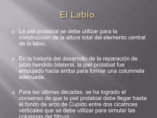 El Labio.La piel prolabial se debe utilizar para la construcción de la altura total del elemento central de la labio.En la historia del desarrollo de la reparación de labio hendido bilateral, la piel prolabial fue empujado hacia arriba para formar una columnela adecuada.Para las últimas décadas, se ha logrado el consenso de que la piel prolabial debe llegar hasta el fondo de arco de Cupido entre dos cicatrices verticales que se debe utilizar para simular las columnas del filtrum.