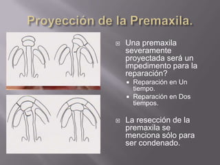 Proyección de la Premaxila.Una premaxila severamente proyectada será un impedimento para la reparación?Reparación en Un tiempo.Reparación en Dos tiempos.La resección de la premaxila se menciona sólo para ser condenado.