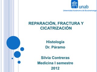 REPARACIÓN, FRACTURA Y
    CICATRIZACIÓN


       Histología
       Dr. Páramo

    Silvia Contreras
   Medicina I semestre
          2012
 