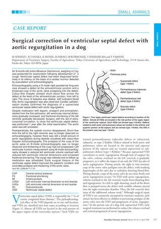 SMALL ANIMALS
SMALL
ANIMALS
117
Australian Veterinary Journal Volume 84, No 4, April 2006
termed perimembranous trabecular defects or infracristal,
subaortic, or type 2 Kirklin. Defects related to both aortic and
pulmonary valves are located in the anterior and superior
portion of the septum and are termed supracristal or sub-
pulmonary defects (type 1 Kirklin).3
Because supracristal VSD
contributes to aortic regurgitation through lack of support for
the valve, volume overload on the left ventricle is gradually
progressive, as it suffers the impact of not only the VSD, but also of
aortic regurgitation. During systole, the right or non-coronary
cusp of the aortic valve prolapses into the defect, with resulting
hypertrophy of the valve due to turbulent shunting blood flow.
During diastole, cusps of the aortic valve do not close firmly and
aortic regurgitation occurs.4
In VSD with aortic regurgitation,
volume overload in the left ventricle results from shunting flow
and regurgitation. In a left to right shunting, much of the shunt
flow is pumped across the defect with variable volumes ejected
into the right ventricular chamber. Thus, the left ventricle does
most of the additional volume work.5
Although surgical repair
of VSD is not commonly attempted in veterinary medicine, early
closure has been effective in children in preventing prolapse of the
aortic valve into the VSD and progression of aortic regurgita-
tion.4
In the present case of a dog with supracristal VSD, early
surgical treatment was performed to reduce the volume overload
and control progression of aortic regurgitation.
An 8-month-old entire Miniature Dachshund, weighing 4.2 kg,
was presented for examination following delvelopment of a
cough. Ventricular septal defect had been diagnosed tenta-
tively in its infancy on the basis of a cardiac murmur detected
by auscultation and echocardiography.
Echocardiography using a B mode right parasternal long-axis
view showed a defect at the atrioventricular junction and a
thickened cusp of the aortic valve prolapsing into the defect.
Colour-flow Doppler showed shunt blood flow across the
defect at the level of the atrioventricular junction, from left to
right. The sinus of Valsalva was dilated, with turbulent blood
flow. Aortic regurgitation was also observed. Cardiac catheter-
isation studies confirmed the diagnosis of a supracristal
ventricular septal defect with aortic regurgitation.
Despite medication with digoxin, enalapril and aminophylin,
started from the first admission, left ventricular internal dimen-
sions gradually increased, and fractional shortening of the left
ventricle gradually decreased. Surgery, with the aid of extra-
corporeal circulation, to close the ventricular septal defect,
was performed 1 year after the initial examination. The aortic
valve was left untreated.
Postoperatively, the systolic murmur disappeared. Shunt flow
from the left to the right ventricle was no longer observed on
echocardiography, however there was still a small amount of
aortic regurgitation during diastole visualised with colour-flow
Doppler echocardiography. The prolapse of the cusp of the
aortic valve on B-mode echocardiography was no longer
observed and thickening of the cusp had not progressed. Left
ventricular function measurement using M mode echocardiog-
raphy showed a reduced left ventricular volume overload with
reduced left ventricular internal dimensions and increased
fractional shortening.The cough was relieved and no follow-up
medication was scheduled. Early surgical closure of the
ventricular septal defect improved the patient’s condition and
controlled prolapse and thickening of the aortic valve.
Aust Vet J 2006;84:117-121
CVP Central venous pressure
FS Fractional shortening
IM Intramuscularly
LVIDd Left ventricular internal dimension at end diastole
LVIDs Left ventricular internal dimension at end systole
SC Subcutaneously
VSD Ventricular septal defect
V
entricular septal defect (VSD) is responsible for 7 % of
canine congenital heart diseases.1
The pathophysiolog-
ical effect of the VSD depends on its size and location,
and VSDs are classified into four types according to location
(Figure 1). Almost all VSDs are located in the mid portion of
the upper region of the ventricular septum.2
Such VSDs are
M SHIMIZU, R TANAKA, K HOSHI, H HIRAO, M KOBAYASHI, S SHIMAMURA and Y YAMANE
Department of Veterinary Surgery, Faculty of Agriculture, Tokyo University of Agriculture and Technology, 3-5-8 Saiwai-cho,
Fuchu-shi, Tokyo 183-0054, Japan
Surgical correction of ventricular septal defect with
aortic regurgitation in a dog
CASE REPORT
Figure 1. Four types ventricular septal defects according to location of the
defect.. Almost all VSDs are located in the mid portion of the upper region
of the ventricular septum. Such VSDs are termed type 2 Kirklin. Defects
related to both aortic and pulmonary valves are located in the anterior and
superior portion of the septum and are termed type 1 Kirklin. The VSD in
the present case was type 1 Kirklin.
AVJApril06N.qxd 24/03/2006 10:27 AM Page 117
 