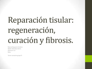Reparación tisular:
regeneración,
curación y fibrosis.
Marisol Baqueiro Cordero
Walter Mendoza Sierra
Jhonny Uc Uc
Mian
Tercer semestre grupo D
 