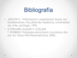 Bibliografía
• JURLOW E, “Inflamacion y reparacion tisular, ed.
Mediterraneo, Facultad de medicina, universidad
de chile, santiago, 1996
• COTRANRS, KUMAR V, COLLINS
T, ROBBINS, Patologia estructural y funcional, 6ta
ed, Mc Graw Hill-interamericana, 2000.

 