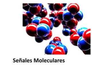 Señales Moleculares
 