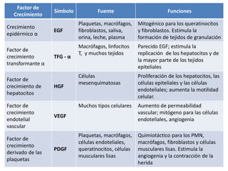 Factor de
Crecimiento
Símbolo Fuente Funciones
Crecimiento
epidérmico α
EGF
Plaquetas, macrófagos,
fibroblastos, saliva,
orina, leche, plasma
Mitogénico para los queratinocitos
y fibroblastos. Estimula la
formación de tejidos de granulación
Factor de
crecimiento
transformante α
TFG - α
Macrófagos, linfocitos
T, y muchos tejidos
Parecido EGF; estimula la
replicación de los hepatocitos y de
la mayor parte de los tejidos
epiteliales
Factor de
crecimiento de
hepatocitos
HGF
Células
mesenquimatosas
Proliferación de los hepatocitos, las
células epiteliales y las células
endoteliales; aumenta la motilidad
celular.
Factor de
crecimiento
endotelial
vascular
VEGF
Muchos tipos celulares Aumento de permeabilidad
vascular; mitógeno para las células
endoteliales, angiogenia
Factor de
crecimiento
derivado de las
plaquetas
PDGF
Plaquetas, macrófagos,
células endoteliales,
queratinocitos, células
musculares lisas
Quimiotáctico para los PMN,
macrófagos, fibroblastos y células
musculares lisas. Estimula la
angiogenia y la contracción de la
herida
 