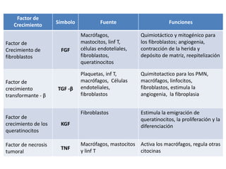 Factor de
Crecimiento Símbolo Fuente Funciones
Factor de
Crecimiento de
fibroblastos
FGF
Macrófagos,
mastocitos, linf T,
células endoteliales,
fibroblastos,
queratinocitos
Quimiotáctico y mitogénico para
los fibroblastos; angiogenia,
contracción de la herida y
depósito de matriz, reepitelización
Factor de
crecimiento
transformante - β
TGF -β
Plaquetas, inf T,
macrófagos, Células
endoteliales,
fibroblastos
Quimitotactico para los PMN,
macrófagos, linfocitos,
fibroblastos, estimula la
angiogenia, la fibroplasia
Factor de
crecimiento de los
queratinocitos
KGF
Fibroblastos Estimula la emigración de
queratinocitos, la proliferación y la
diferenciación
Factor de necrosis
tumoral
TNF
Macrófagos, mastocitos
y linf T
Activa los macrófagos, regula otras
citocinas
 