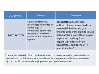 CITOQUINAS Fuente Funciones
Oxido nítrico
Células endoteliales,
macrófagos y en todos los
tejidos bajo las
condiciones apropiadas
(citoquinas, microbios,
productos microbianos e
hipoxia)
Vasodilatación, actividad
antimicrobiana, aumento de la
permeabilidad vascular, se
encarga de la transición de la fase
inflamatoria a la proliferativa por
regulación de citoquinas
Regula la proliferación de
fibroblastos, angiogenesis y
queratinocitos*.
* La función del Oxido nítrico está relacionada con la concentración, altos niveles son
miccrobicidas, proinflamatorios e inhibidores de la repuesta proliferativa, los niveles
bajos en cambio estimulan la angiogeneses y el depósito de matriz
 