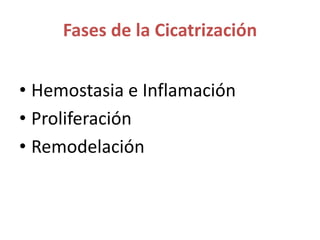 Fases de la Cicatrización
• Hemostasia e Inflamación
• Proliferación
• Remodelación
 