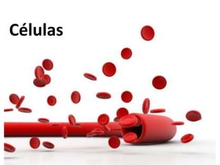 Células
 