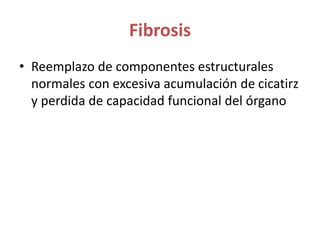 Fibrosis
• Reemplazo de componentes estructurales
normales con excesiva acumulación de cicatirz
y perdida de capacidad funcional del órgano
 