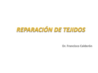 Dr. Francisco Calderón
 