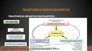 TRASTORNOS HEMODINAMICOS
• TRASTORNOS HEMATOCOAGULATIVOS
TROMBOSIS
LESION
ENDOTELIAL
ALTERACIONES DEL
FLUJO SANGUINEO
HIPERCOAGULABILIDAD
 