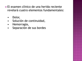   Curacion de las heridas