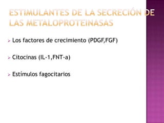 La plasminaProteinasas de la serina