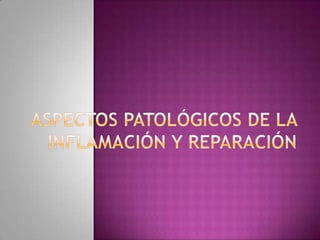 Las gelatinosas de tipo IV……..colágeno amorfo y fibronectina