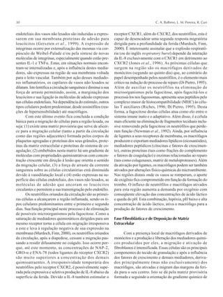 C. A. Balbino, L. M. Pereira, R. Curi30
endoteliais dos vasos não lesados são induzidas a expres-
sarem em sua membrana proteínas de adesão para
leucócitos (Gerszten et al., 1999). A expressão de
integrinas ocorre por externalização das mesmas via cor-
púsculo de Weibel-Palade e/ou pela síntese de novas
moléculas de integrinas, especialmente quando estão pre-
sentes IL-1 e TNFα. Estas, em situações normais encon-
tram-se internalizadas e, após a influência destes media-
dores, são expressas na região de sua membrana voltada
para o leito vascular. Também por ação desses mediado-
res inflamatórios, os capilares de vasos não lesados se
dilatam. Isto lentifica a circulação sanguínea e diminui a sua
força de arraste permitindo, assim, a marginação dos
leucócitos e sua ligação às moléculas de adesão expressas
nas células endoteliais. Na dependência do estímulo, outros
tipos celulares podem predominar, desde eosinófilos (rea-
ções de hipersensibilidade) até macrófagos.
Com este último evento fica concluída a condição
básica para a migração de células para a região lesada, ou
seja: (1) existe uma matriz provisória que serve de alicer-
ce para a migração celular (tanto a partir da circulação
como das regiões adjacentes) formada pelos corpos de
plaquetas agregadas e proteínas dos seus grânulos, prote-
ínas da matriz extracelular e proteínas do sistema de co-
agulação; (2) embebidos nesta matriz há um gradiente de
moléculas com propriedades quimioatrativas com concen-
tração crescente em direção à lesão que orienta o sentido
da migração celular, (3) a força de arraste da corrente
sanguínea sobre as células circulatórias está diminuída
devido à vasodilatação local e (4) estão expressas na su-
perfície das células endoteliais, dos vasos não lesados, as
moléculas de adesão que ancoram os leucócitos
circulantes e permitem a sua transmigração pelo endotélio.
Os neutrófilos oriundos da circulação são as primei-
ras células a alcançarem a região inflamada, sendo os ti-
pos celulares predominantes entre o primeiro e segundo
dias. Sua função principal neste processo é de eliminação
de possíveis microorganismos pela fagocitose. Como a
saturação de mediadores quimiotáticos dirigidos para um
mesmo receptor torna a célula em migração irresponsiva
a este e leva à regulação negativa de sua expressão na
membrana (Murdoch, Finn, 2000), os neutrófilos oriundos
da circulação, após a diapedese, cessam a migração pas-
sando a residir difusamente no coágulo. Isso ocorre por-
que, até este momento, as concentrações de NAP-2,
GRO-α e ENA-78 (todos ligantes do receptor CXCR2)
são muito superiores a concentração dos demais
quimioatraentes. A irresponsividade temporária dos
neutrófilos pelo receptor CXCR2, é possivelmente supe-
rada pela expressiva e seletiva produção de IL-8 abaixo da
superfície da ferida. Devido a IL-8 também estimular o
receptor CXCR1, além do CXCR2, dos neutrófilos, esta é
capaz de desencadear uma segunda resposta migratória
dirigida para a profundidade da ferida (Murdoch, Finn,
2000). É interessante assinalar que a explosão respirató-
ria (ou do inglês respiratory burst) depende da interação
da IL-8 exclusivamente com o CXCR1 em detrimento ao
CXCR2 (Jones et al., 1996). As próximas células que
surgem na região são os macrófagos derivados de
monócitos (segundo ao quinto dia) que, ao contrário do
papel desempenhado pelos neutrófilos, é o elemento mais
crítico na indução do processo de reparo (Di Pietro, 1995).
Além de auxiliar os neutrófilos na eliminação de
microorganismos pela fagocitose, após fagocitá-los e
processá-los nos fagossomas, apresenta seus peptídios pelo
complexo maior de histocompatibilidade (MHC) às célu-
las T auxiliares (Riches, 1996; Di Pietro, 1995). Desta
forma, a fagocitose destas células atua como elo entre o
sistema imune inato e o adaptativo.Além disso, é a célula
mais eficiente na eliminação de fragmentos teciduais inclu-
sive removendo pela fagocitose os neutrófilos que perde-
ram função (Newman et al., 1992). Ainda, por influência
de ligantes a seus receptores de membrana, os macrófagos
produzem e exportam mediadores lipídicos (eicosanóides),
mediadores peptídicos (citocinas e fatores de crescimen-
to), outras proteínas (tais como frações do complemento
e fatores de coagulação) e enzimas relacionadas ao reparo
(tais como colagenases, matriz de metaloproteases).Além
da ativação por ligantes, os macrófagos podem ser também
ativados por alterações físico-químicas do microambiente.
Nas regiões distais onde os vasos se romperam, o aporte
de oxigênio fica comprometido em função da formação do
trombo. O influxo de neutrófilos e macrófagos ativados
para esta região aumenta a demanda por oxigênio com
conseqüente elevação das concentrações de ácido láctico
e queda do pH. Esta combinação, hipóxia, pH baixo e alta
concentração de ácido láctico, ativa o macrófago para a
produção de fatores de crescimento.
Fase Fibroblástica e de Deposição de Matriz
Extracelular
Com a presença local de macrófagos derivados de
monócitos e a produção e liberação dos mediadores quími-
cos produzidos por eles, a migração e ativação de
fibroblastos é intensificada. Essas células são os principais
componentes do tecido de granulação e após a influência
dos fatores de crescimento e demais mediadores, deriva-
dos principalmente (mas não exclusivamente) dos
macrófagos, são ativadas e migram das margens da feri-
da para o seu centro. Isto se dá pela matriz provisória
formada e seguindo a orientação do gradiente químico de
 