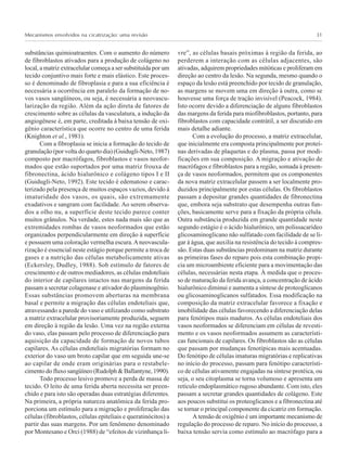 Mecanismos envolvidos na cicatrização: uma revisão 31
substâncias quimioatraentes. Com o aumento do número
de fibroblastos ativados para a produção de colágeno no
local, a matriz extracelular começa a ser substituída por um
tecido conjuntivo mais forte e mais elástico. Este proces-
so é denominado de fibroplasia e para a sua eficiência é
necessária a ocorrência em paralelo da formação de no-
vos vasos sangüíneos, ou seja, é necessária a neovascu-
larização da região. Além da ação direta de fatores de
crescimento sobre as células da vasculatura, a indução da
angiogênese é, em parte, creditada à baixa tensão de oxi-
gênio característica que ocorre no centro de uma ferida
(Knighton et al., 1981).
Com a fibroplasia se inicia a formação do tecido de
granulação (por volta do quarto dia) (Guidugli-Neto, 1987)
composto por macrófagos, fibroblastos e vasos neofor-
mados que estão suportados por uma matriz frouxa de
fibronectina, ácido hialurônico e colágeno tipos I e II
(Guidugli-Neto, 1992). Este tecido é edematoso e carac-
terizado pela presença de muitos espaços vazios, devido à
imaturidade dos vasos, os quais, são extremamente
exudativos e sangram com facilidade. Ao serem observa-
dos a olho nu, a superfície deste tecido parece conter
muitos grânulos. Na verdade, estes nada mais são que as
extremidades rombas de vasos neoformados que estão
organizados perpendicularmente em direção à superfície
e possuem uma coloração vermelha escura.Aneovascula-
rização é essencial neste estágio porque permite a troca de
gases e a nutrição das células metabolicamente ativas
(Eckersley, Dudley, 1988). Sob estímulo de fatores de
crescimento e de outros mediadores, as células endoteliais
do interior de capilares intactos nas margens da ferida
passam a secretar colagenase e ativador do plasminogênio.
Essas substâncias promovem aberturas na membrana
basal e permite a migração das células endoteliais que,
atravessando a parede do vaso e utilizando como substrato
a matriz extracelular provisoriamente produzida, seguem
em direção à região da lesão. Uma vez na região externa
do vaso, elas passam pelo processo de diferenciação para
aquisição da capacidade de formação de novos tubos
capilares. As células endoteliais migratórias formam no
exterior do vaso um broto capilar que em seguida une-se
ao capilar de onde eram originárias para o restabele-
cimento do fluxo sangüíneo (Rudolph & Ballantyne, 1990).
Todo processo lesivo promove a perda de massa de
tecido. O leito de uma ferida aberta necessita ser preen-
chido e para isto são operadas duas estratégias diferentes.
Na primeira, a própria natureza anatômica da ferida pro-
porciona um estímulo para a migração e proliferação das
células (fibroblastos, células epiteliais e queratinócitos) a
partir das suas margens. Por um fenômeno denominado
por Montesano e Orci (1988) de “efeitos de vizinhança li-
vre”, as células basais próximas à região da ferida, ao
perderem a interação com as células adjacentes, são
ativadas, adquirem propriedades mitóticas e proliferam em
direção ao centro da lesão. Na segunda, mesmo quando o
espaço da lesão está preenchido por tecido de granulação,
as margens se movem uma em direção à outra, como se
houvesse uma força de tração invisível (Peacock, 1984).
Isto ocorre devido a diferenciação de alguns fibroblastos
das margens da ferida para miofibroblastos, portanto, para
fibroblastos com capacidade contrátil, a ser discutido em
mais detalhe adiante.
Com a evolução do processo, a matriz extracelular,
que inicialmente era composta principalmente por proteí-
nas derivadas de plaquetas e do plasma, passa por modi-
ficações em sua composição. A migração e ativação de
macrófagos e fibroblastos para a região, somada à presen-
ça de vasos neoformados, permitem que os componentes
da nova matriz extracelular passem a ser localmente pro-
duzidos principalmente por estas células. Os fibroblastos
passam a depositar grandes quantidades de fibronectina
que, embora seja substrato que desempenha outras fun-
ções, basicamente serve para a fixação da própria célula.
Outra substância produzida em grande quantidade neste
segundo estágio é o ácido hialurônico, um polissacarídeo
glicosaminoglicano não sulfatado com facilidade de se li-
gar à água, que auxilia na resistência do tecido à compres-
são. Estas duas substâncias predominam na matriz durante
as primeiras fases do reparo pois esta combinação propi-
cia um microambiente eficiente para a movimentação das
células, necessárias nesta etapa. À medida que o proces-
so de maturação da ferida avança, a concentração de ácido
hialurônico diminui e aumenta a síntese de proteoglicanos
ou glicosaminoglicanos sulfatados. Essa modificação na
composição da matriz extracelular favorece a fixação e
imobilidade das células favorecendo a diferenciação delas
para fenótipos mais maduros. As células endoteliais dos
vasos neoformados se diferenciam em células de revesti-
mento e os vasos neoformados assumem as característi-
cas funcionais de capilares. Os fibroblastos são as células
que passam por mudanças fenotípicas mais acentuadas.
Do fenótipo de células imaturas migratórias e replicativas
no início do processo, passam para fenótipo característi-
co de células ativamente engajadas na síntese protéica, ou
seja, o seu citoplasma se torna volumoso e apresenta um
retículo endoplasmático rugoso abundante. Com isto, eles
passam a secretar grandes quantidades de colágeno. Este
aos poucos substitui os proteoglicanos e a fibronectina até
se tornar o principal componente da cicatriz em formação.
A tensão de oxigênio é um importante mecanismo de
regulação do processo de reparo. No início do processo, a
baixa tensão servia como estímulo ao macrófago para a
 