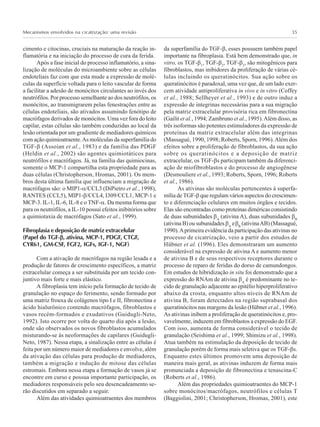 Mecanismos envolvidos na cicatrização: uma revisão 35
cimento e citocinas, cruciais na maturação da reação in-
flamatória e na iniciação do processo de cura da ferida.
Após a fase inicial do processo inflamatório, a sina-
lização de moléculas do microambiente sobre as células
endoteliais faz com que esta mude a expressão de molé-
culas da superfície voltada para o leito vascular de forma
a facilitar a adesão de monócitos circulantes ao invés dos
neutrófilos. Por processo semelhante ao dos neutrófilos, os
monócitos, ao transmigrarem pelas fenestrações entre as
células endoteliais, são ativados assumindo fenótipo de
macrófagos derivados de monócitos. Uma vez fora do leito
capilar, estas células são também conduzidas ao local da
lesão orientada por um gradiente de mediadores químicos
com ação quimioatraente.As moléculas da superfamília do
TGF-β (Assoian et al., 1983) e da família das PDGF
(Heldin et al., 2002) são agentes quimiotáticos para
neutrófilos e macrófagos. Já, na família das quimiocinas,
somente o MCP-1 compartilha esta propriedade para as
duas células (Christopherson, Hromas, 2001). Os mem-
bros desta última família que influenciam a migração de
macrófagos são: o MIP1-α/CCL3 (DiPietro et al., 1998),
RANTES (CCL5), MIP1-β/CCL4, I309/CCL1, MCP-1 e
MCP-3. IL-1, IL-6, IL-8 e o TNF-α. Da mesma forma que
para os neutrófilos, a IL-10 possui efeitos inibitórios sobre
a quimiotaxia de macrófagos (Sato et al., 1999).
Fibroplasia e deposição de matriz extracelular
(Papel do TGF-βββββ, ativina, MCP-1, PDGF, CTGF,
CYR61, GM-CSF, FGF2, IGFs, IGF-1, NGF)
Com a ativação de macrófagos na região lesada e a
produção de fatores de crescimento específicos, a matriz
extracelular começa a ser substituída por um tecido con-
juntivo mais forte e mais elástico.
A fibroplasia tem início pela formação de tecido de
granulação no espaço do ferimento, sendo formado por
uma matriz frouxa de colágenos tipo I e II, fibronectina e
ácido hialurônico contendo macrófagos, fibroblastos e
vasos recém-formados e exudativos (Guidugli-Neto,
1992). Isto ocorre por volta do quarto dia após a lesão,
onde são observados os novos fibroblastos acumulados
misturando-se às neoformações de capilares (Guidugli-
Neto, 1987). Nessa etapa, a sinalização entre as células é
feita por um número maior de mediadores e envolve, além
da ativação das células para produção de mediadores,
também a migração e indução de mitose das células
estromais. Embora nessa etapa a formação de vasos já se
encontre em curso e possua importante participação, os
mediadores responsáveis pelo seu desencadeamento se-
rão discutidos em separado a seguir.
Além das atividades quimioatraentes dos membros
da superfamília do TGF-β, esses possuem também papel
importante na fibroplasia. Está bem demonstrado que, in
vitro, os TGF-β1
, TGF-β2
, TGF-β3
, são mitogênicos para
fibroblastos, mas inibidores da proliferação de várias cé-
lulas incluindo os queratinócitos. Sua ação sobre os
queratinócitos é paradoxal, uma vez que, de um lado exer-
cem atividade antiproliferativa in vivo e in vitro (Coffey
et al., 1988; Sellheyer et al., 1993) e de outro induz a
expressão de integrinas necessárias para a sua migração
pela matriz extracelular provisória rica em fibronectina
(Gailit et al., 1994; Zambruno et al., 1995).Além disso, as
três isoformas são potentes estimuladores da expressão de
proteínas da matriz extracelular além das integrinas
(Massagué, 1990, 1998; Roberts, Sporn, 1996).Além dos
efeitos sobre a proliferação de fibroblastos, da sua ação
sobre os queratinócitos e a deposição de matriz
extracelular, os TGF-βs participam também da diferenci-
ação de miofibroblastos e do processo de angiogênese
(Desmouliere et al., 1993; Roberts, Sporn, 1996; Roberts
et al., 1986).
As ativinas são moléculas pertencentes à superfa-
mília de TGF-β que regulam vários aspectos do crescimen-
to e diferenciação celulares em muitos órgãos e tecidos.
Elas são encontradas como proteínas diméricas consistindo
de duas subunidades βA
(ativina A), duas subunidades βB
(ativina B) ou subunidades βA
eβB
(ativinaAB) (Massagué,
1990).Aprimeira evidência da participação das ativinas no
processo de cicatrização, veio a partir dos estudos de
Hübner et al. (1996). Eles demonstraram um aumento
considerável na expressão de ativina A e aumento menor
de ativina B e de seus respectivos receptores durante o
processo de reparo de feridas do dorso de camundongos.
Em estudos de hibridização in situ foi demonstrado que a
expressão do RNAm de ativina βA
é predominante no te-
cido de granulação adjacente ao epitélio hiperproliferativo
abaixo da crosta, enquanto altos níveis de RNAm de
ativina B, foram detectados na região suprabasal dos
queratinócitos nas margens da lesão (Hübner et al., 1996).
As ativinas inibem a proliferação de queratinócitos e, pro-
vavelmente, induzem em fibroblastos a expressão do EGF.
Com isso, aumenta de forma considerável o tecido de
granulação (Seishima et al., 1999; Shimizu et al., 1998).
Atua também na estimulação da deposição de tecido de
granulação porém de forma mais seletiva que os TGF-βs.
Enquanto estes últimos promovem uma deposição de
maneira mais geral, as ativinas induzem de forma mais
pronunciada a deposição de fibronectina e tenascina-C
(Roberts et al., 1986).
Além das propriedades quimioatraentes do MCP-1
sobre monócitos/macrófagos, neutrófilos e células T
(Baggiolini, 2001; Christopherson, Hromas, 2001), este
 