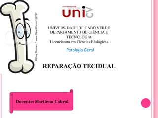 UNIVERSIDADE DE CABO VERDE
               DEPARTAMENTO DE CIÊNCIA E
                         TECNOLOGIA
               Licenciatura em Ciências Biológicas

                        Patologia Geral



            REPARAÇÃO TECIDUAL




Docente: Marilena Cabral
 