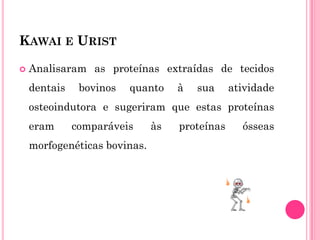KAWAI E URIST

   Analisaram as proteínas extraídas de tecidos
    dentais    bovinos   quanto    à   sua     atividade
    osteoindutora e sugeriram que estas proteínas
    eram      comparáveis     às   proteínas     ósseas
    morfogenéticas bovinas.
 