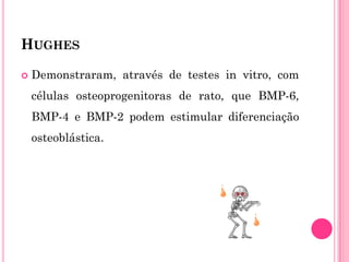 HUGHES

   Demonstraram, através de testes in vitro, com
    células osteoprogenitoras de rato, que BMP-6,
    BMP-4 e BMP-2 podem estimular diferenciação
    osteoblástica.
 