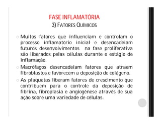 FASE INFLAMATÓRIA
3) FATORES QUÍMICOS
 Muitos fatores que influenciam e controlam o
processo inflamatório inicial e desencadeiam
futuros desenvolvimentos na fase proliferativa
são liberados pelas células durante o estágio de
inflamação.
 Macrófagos desencadeiam fatores que atraem
fibroblastos e favorecem a deposição de colágeno.
 As plaquetas liberam fatores de crescimento que
contribuem para o controle da deposição de
fibrina, fibroplasia e angiogênese através de sua
ação sobre uma variedade de células.
 