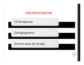 FASE PROLIFERATIVA
1)Fibroplasia
2)Angiogênese
3)Contração da ferida
 